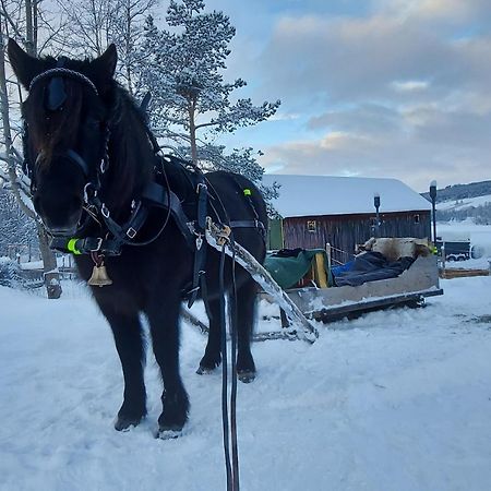 Fantgrenda Overnatting Appartement Os (Hedmark) Buitenkant foto