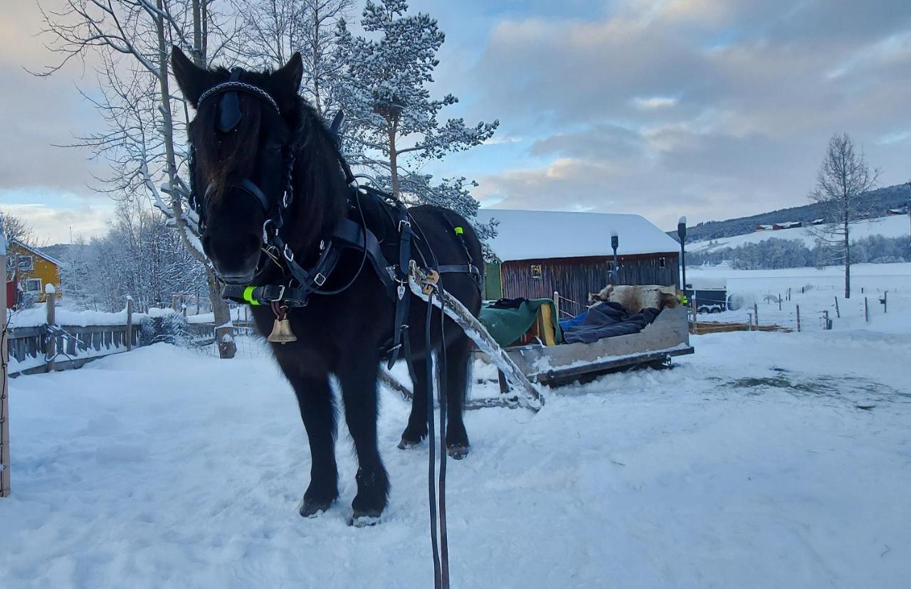 Fantgrenda Overnatting Appartement Os (Hedmark) Buitenkant foto